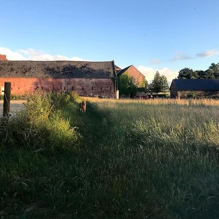 Le Cottage - Maison De 6 A 8 Personnes - La Ferme Du Try Frasnes-lez-Gosselies Экстерьер фото